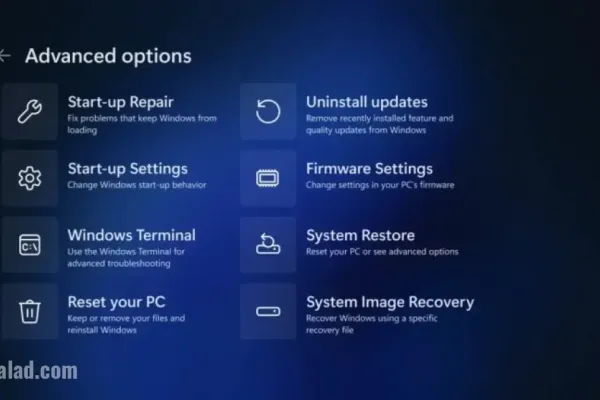 Windows 11 Update Disables USB Devices in Recovery Environment