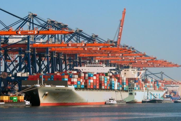 Windows Bug Disrupts Rotterdam Port Terminals and Regional Bus Services