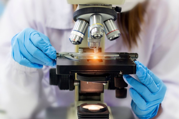 Nanotechnology Powers World's Smallest Interactive Game