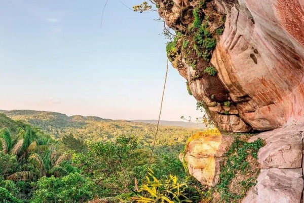 Google Arts & Culture App Enhances Art Exploration and Preservation Efforts