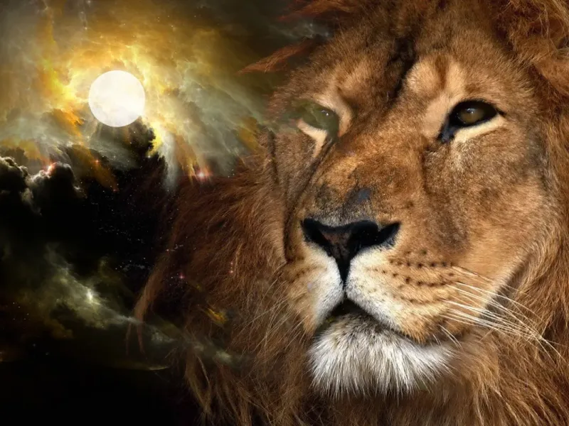 slide for 2 slide for 2