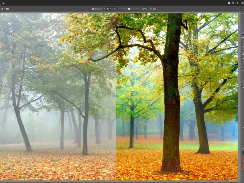 slide for 4 slide for 4