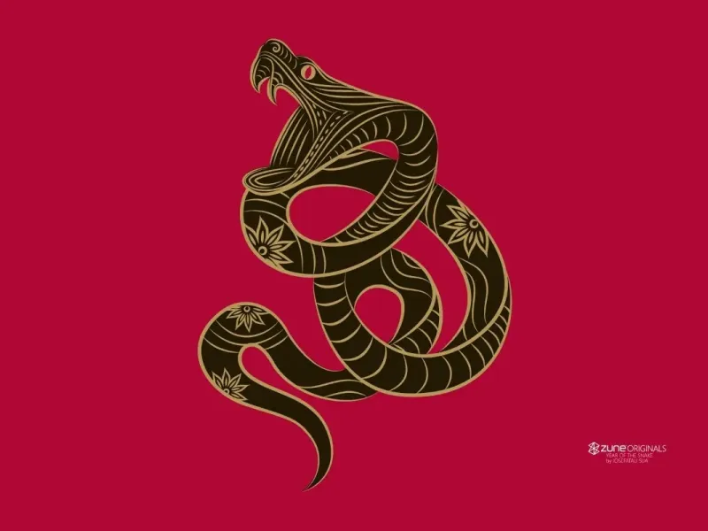 slide for 7 slide for 7