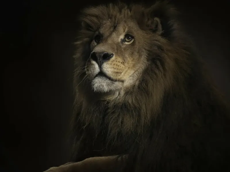 slide for 5 slide for 5