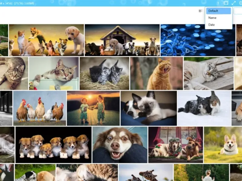 slide for 1 slide for 1