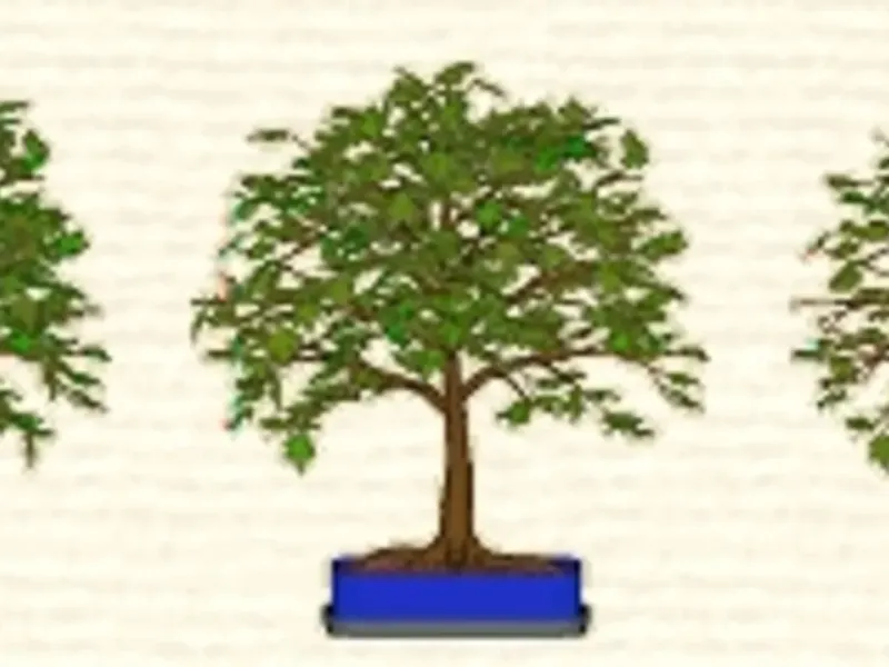 slide for 2 slide for 2