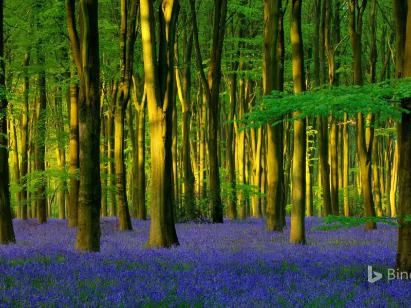 slide for 2 slide for 2