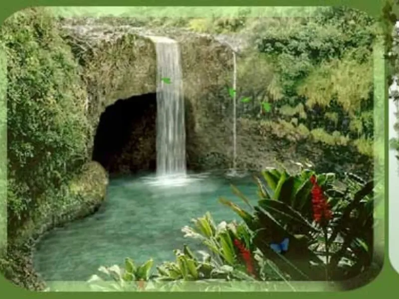 slide for 1 slide for 1