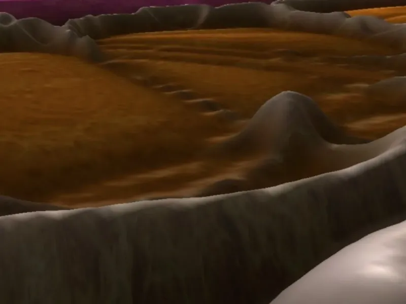 slide for 1 slide for 1