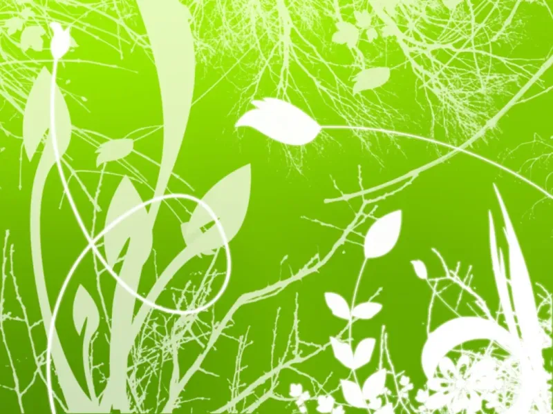 slide for 2 slide for 2