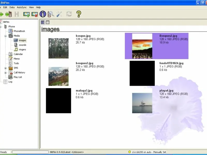 slide for 4 slide for 4