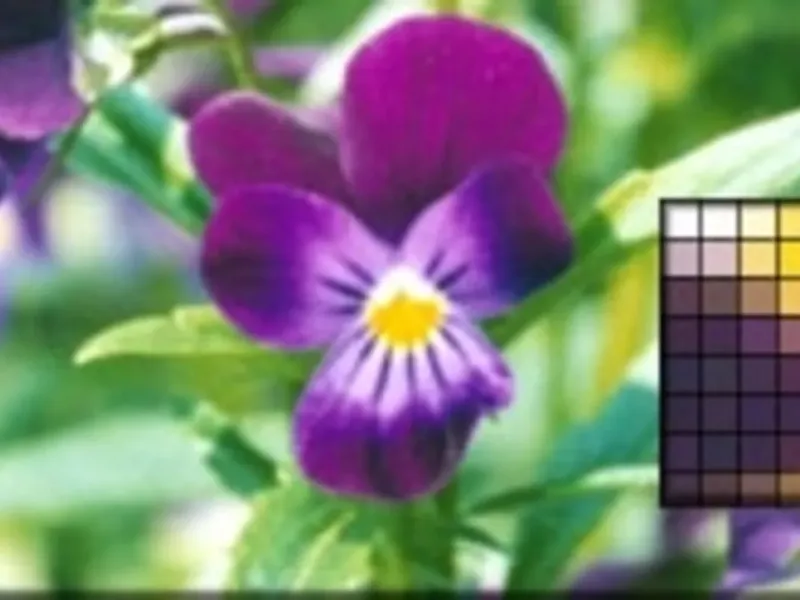 slide for 1 slide for 1