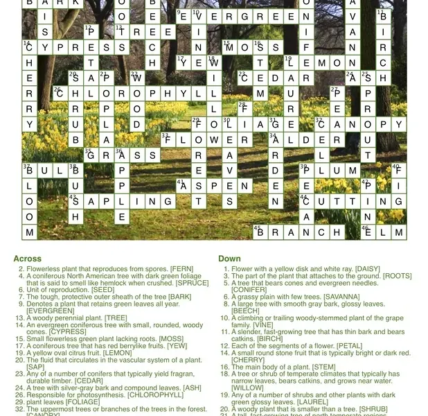 slide for 1 slide for 1