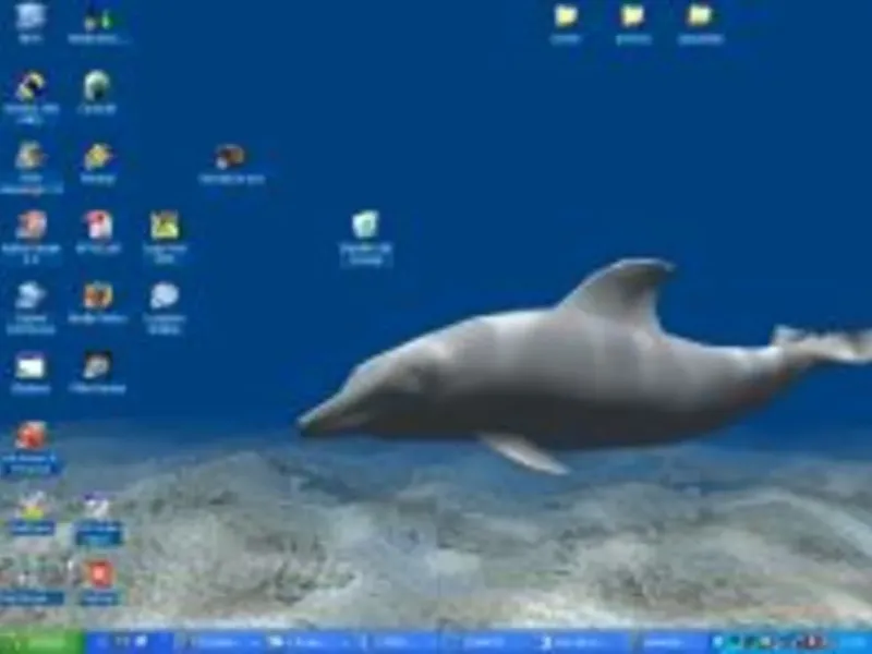 slide for 1 slide for 1