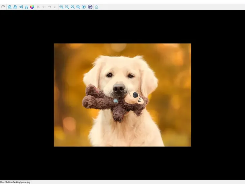 slide for 1 slide for 1