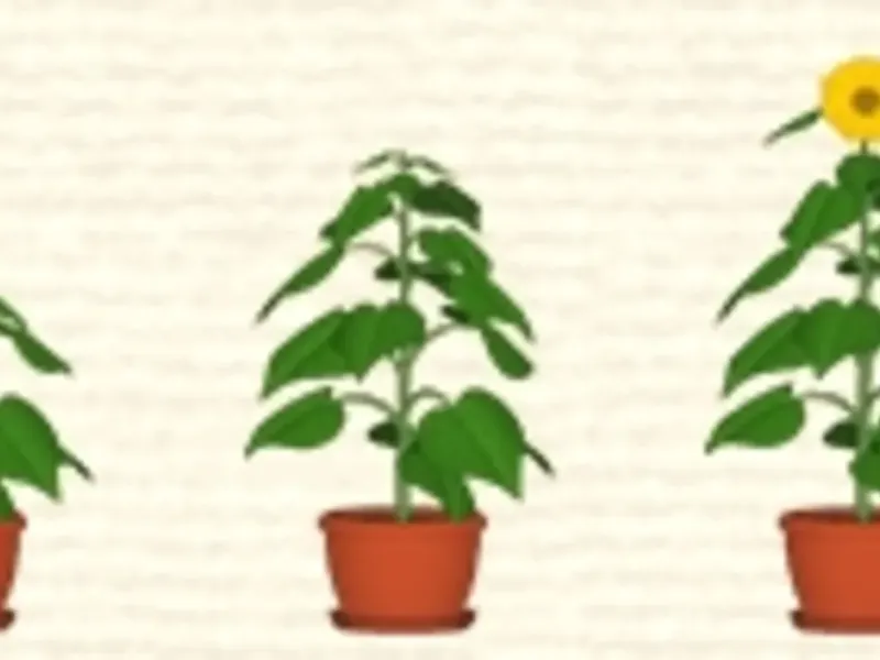 slide for 1 slide for 1