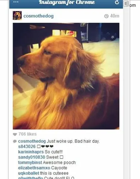 slide for 1 slide for 1