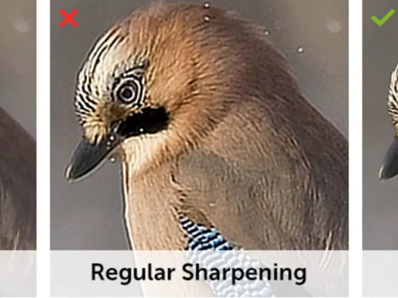 slide for 2 slide for 2