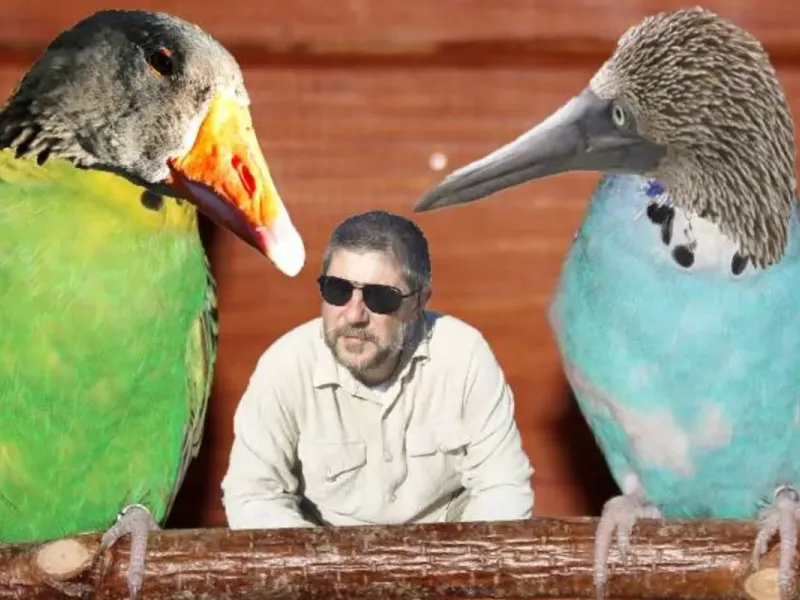 slide for 2 slide for 2