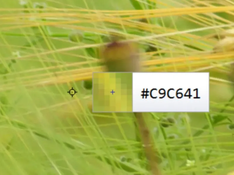 slide for 4 slide for 4