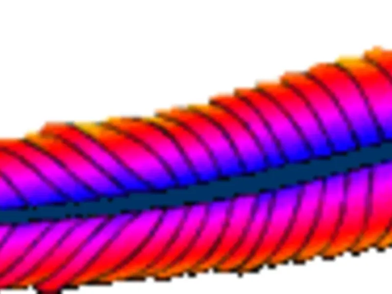 slide for 1 slide for 1