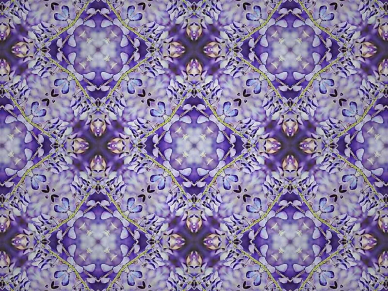 slide for 5 slide for 5