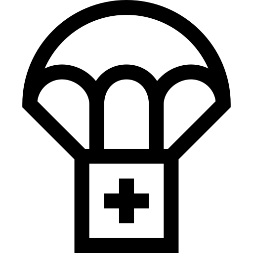 Companion system