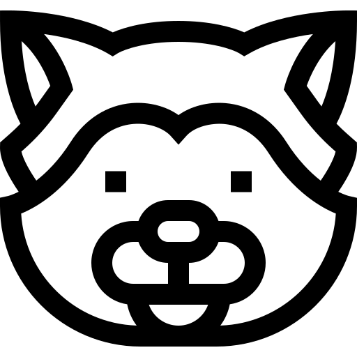 Droid Customization