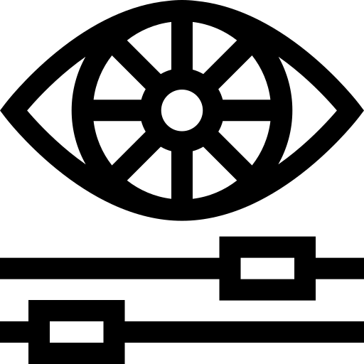 Customizable Subtitles