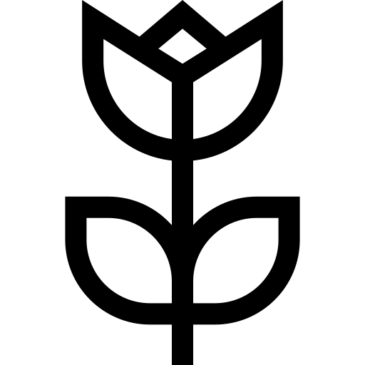 Turbo and Macro Functionality