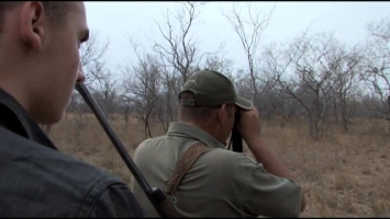 Охота на антилопу гну